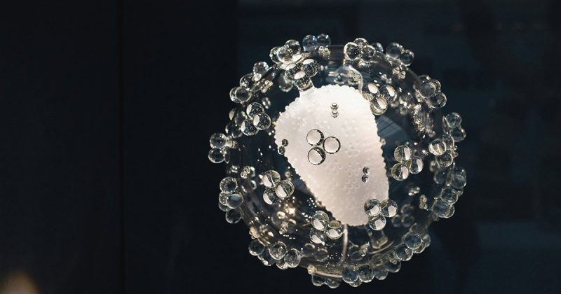 Чи було життя на Землі старішим, ніж ми вважали? Нове відкриття про LUCA