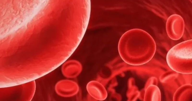 Підвищення гемоглобіну за допомогою фруктів