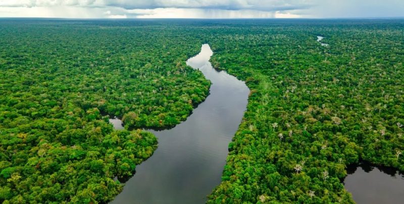 Майбутнє без джунглів, які кліматичні катастрофи чекають на Амазонію