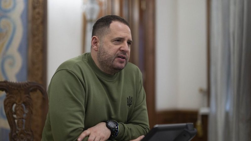 В ОП закликали долучити Україну до проєкту стіна дронів