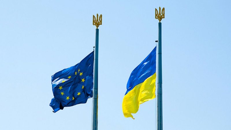 Міжнародне правосуддя та підтримка, Рада Європи про Україну
