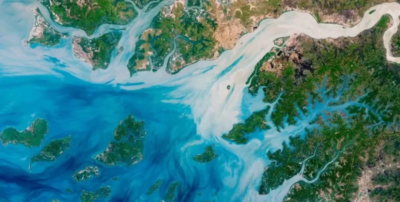 Темнішаючи: як зміни у світовому океані впливають на нашу планету