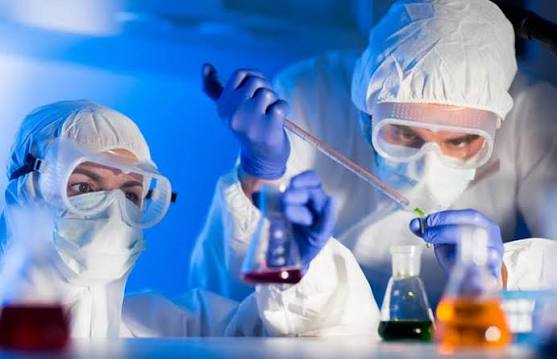 Науковий прорив у захисті сільськогосподарських культур: нові технології для авокадо та томатів